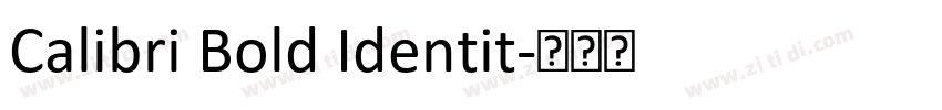 Calibri Bold Identit字体转换